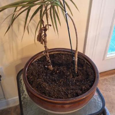 Sale Photo Thumbnail #104