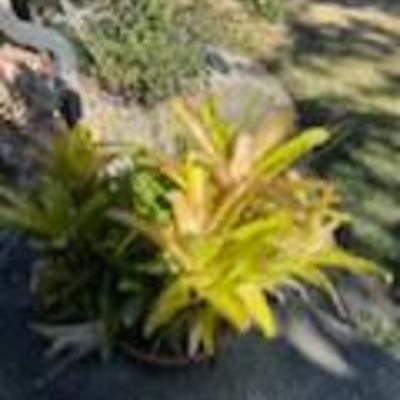 Sale Photo Thumbnail #153