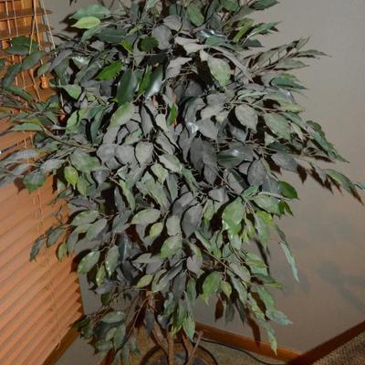 Sale Photo Thumbnail #244