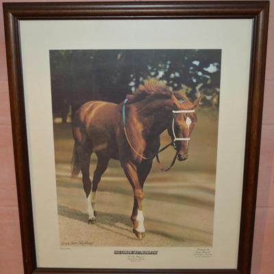 Sale Photo Thumbnail #664