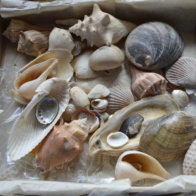 Sale Photo Thumbnail #144