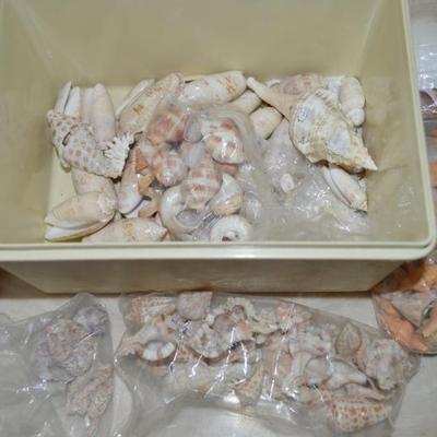 Sale Photo Thumbnail #35