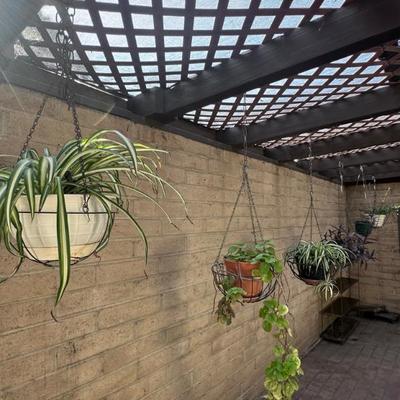 Sale Photo Thumbnail #82