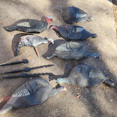 turkey decoys