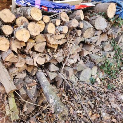 firewood