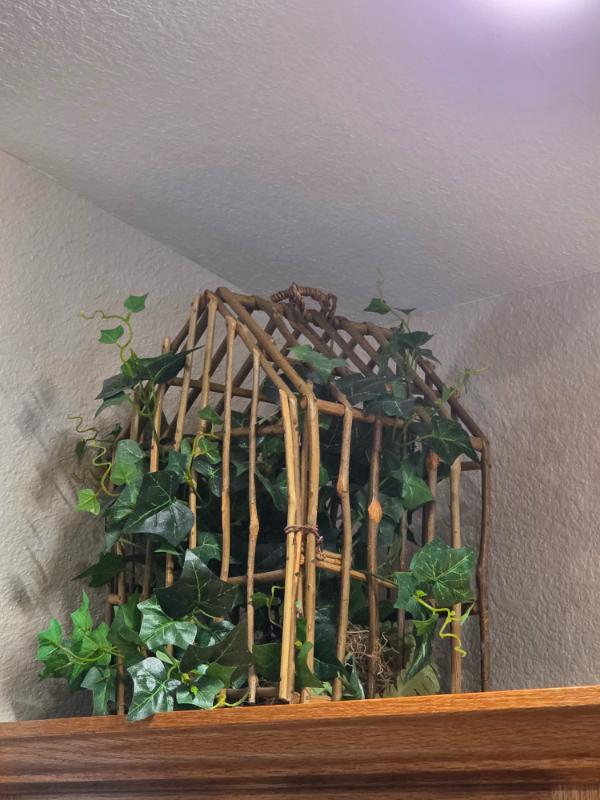 Sale Photo Thumbnail #32