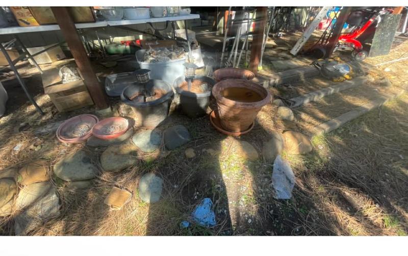 Sale Photo Thumbnail #14