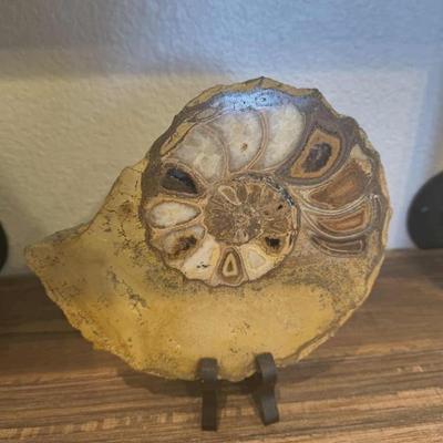 Sale Photo Thumbnail #165