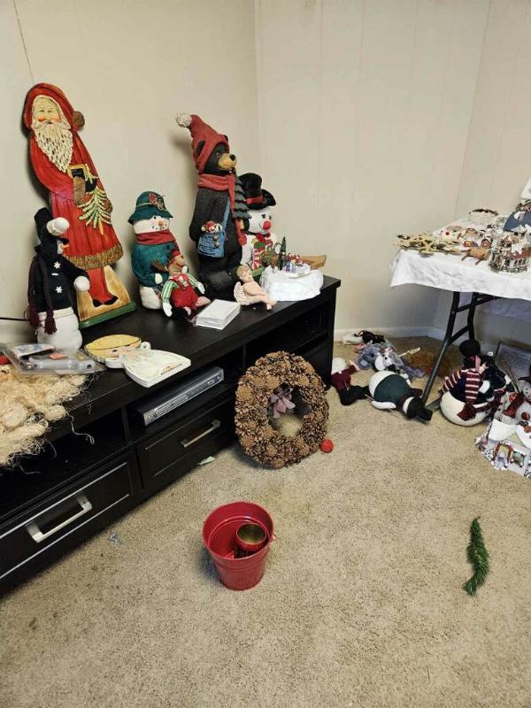 Sale Photo Thumbnail #16