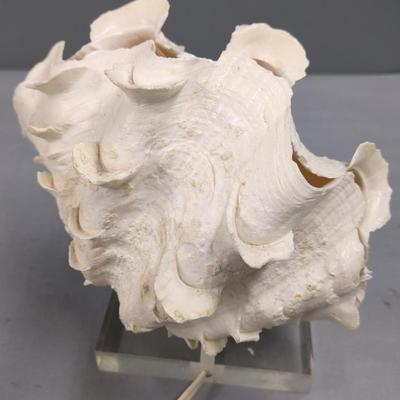 Sale Photo Thumbnail #225