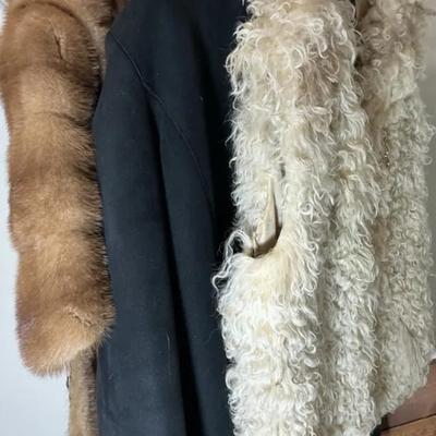 Fur Vests & Coat with Fox Trim