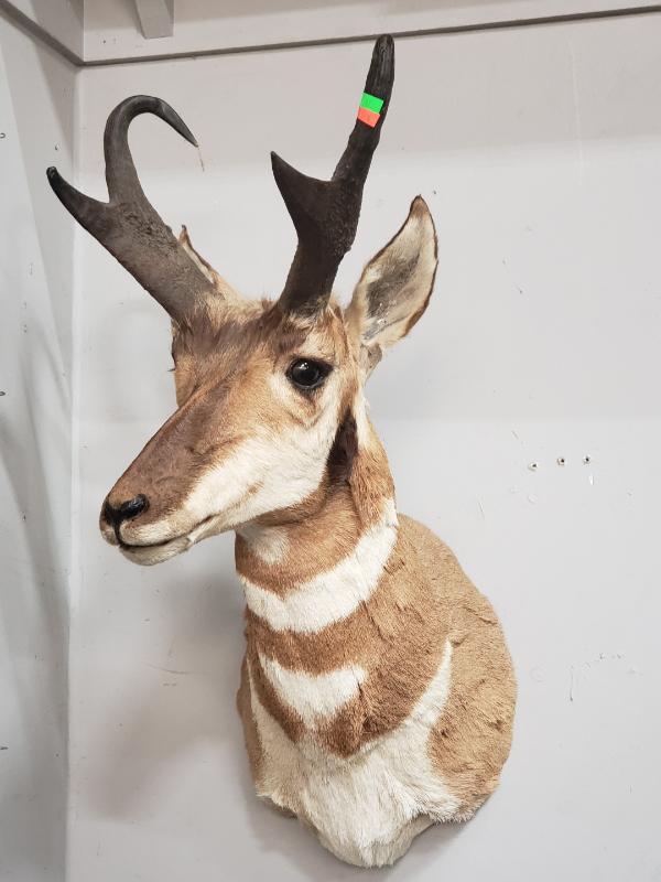 Sale Photo Thumbnail #21