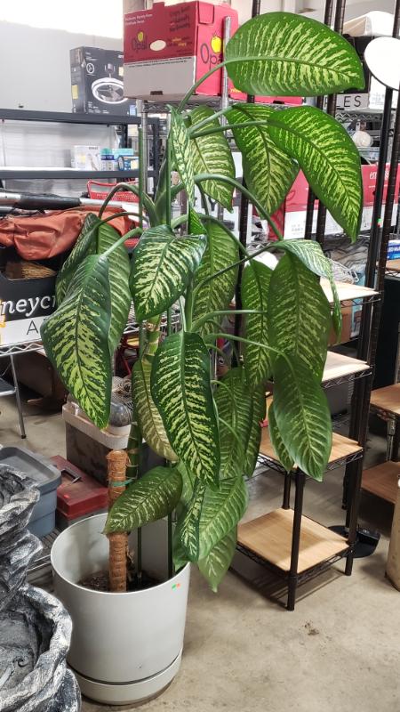 Sale Photo Thumbnail #20