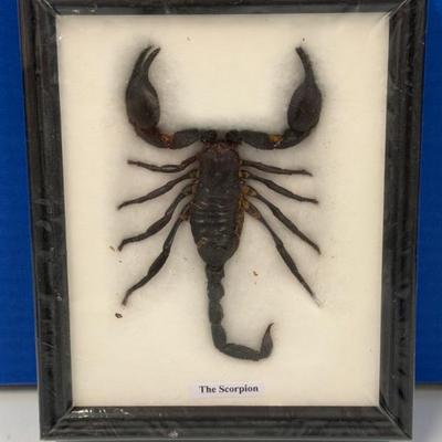 Sale Photo Thumbnail #13