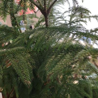 Sale Photo Thumbnail #377