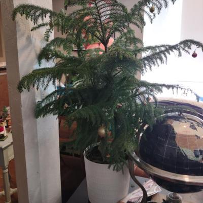 Sale Photo Thumbnail #354