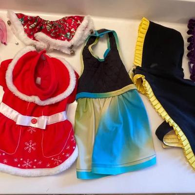 061-MBC: Small-Dog Fashion Wardrobe #6