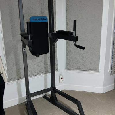 148-GAR: Pro-Form Carbon Strength Power Tower