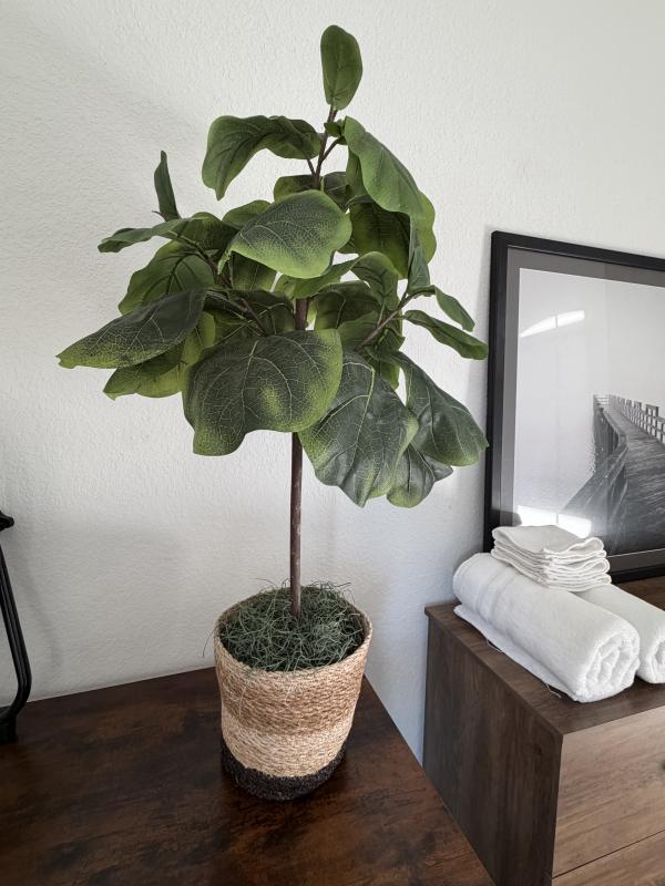 Sale Photo Thumbnail #147