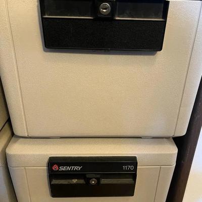 Sentry 1170 Safes #2 