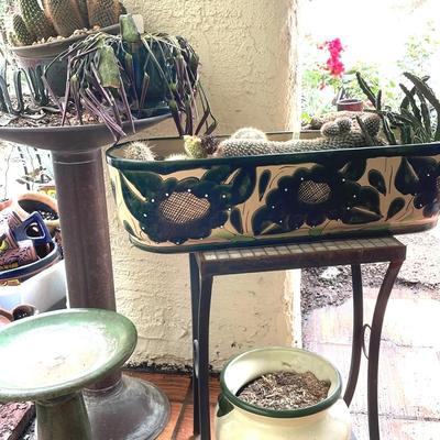 How Green is Your Birdbath? 