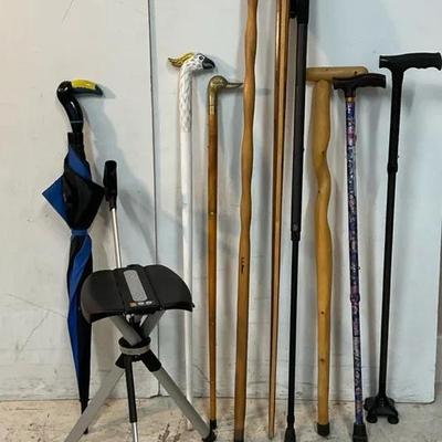 Step2Gold Ta-da Chair & Walking Sticks 