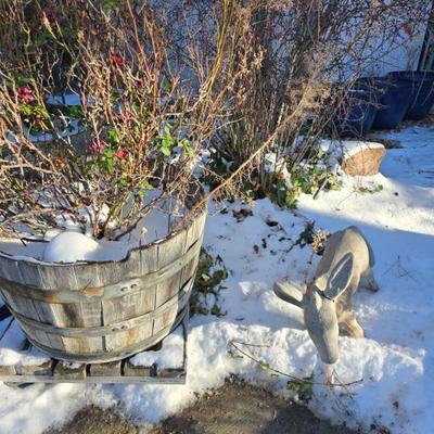 Sale Photo Thumbnail #73