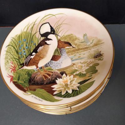 "Scenes from a Wooded Glen" by Jo Polseno 