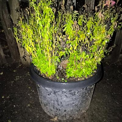 Sale Photo Thumbnail #91