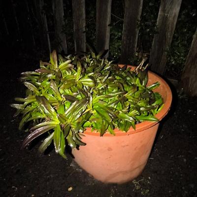 Sale Photo Thumbnail #90