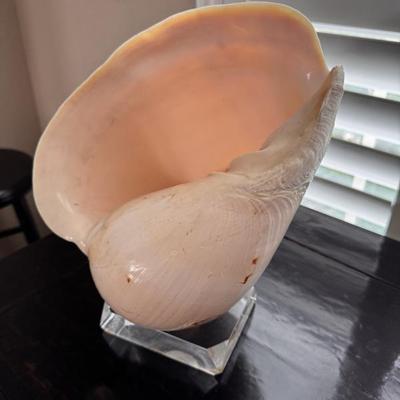 Sale Photo Thumbnail #26