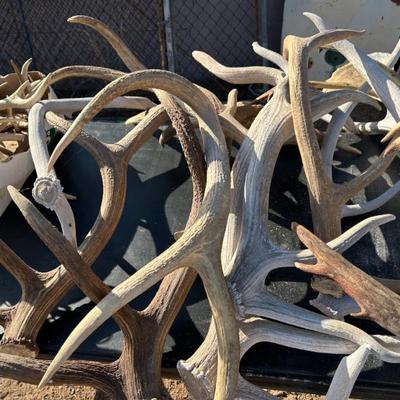 Sale Photo Thumbnail #286