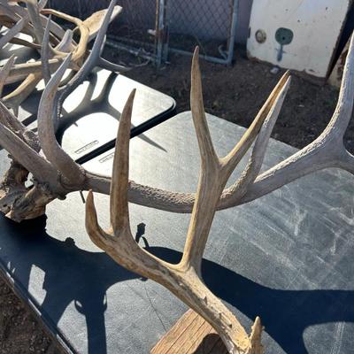 Sale Photo Thumbnail #282