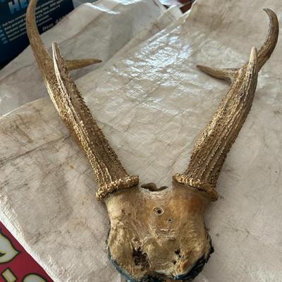 Sale Photo Thumbnail #373