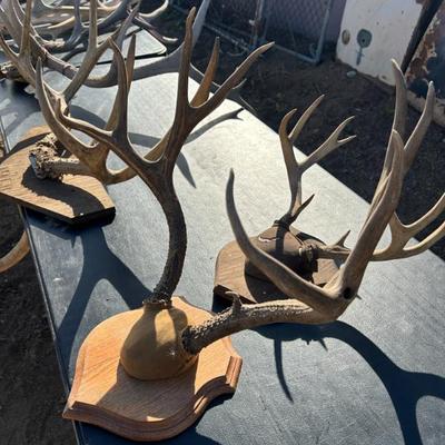 Sale Photo Thumbnail #278