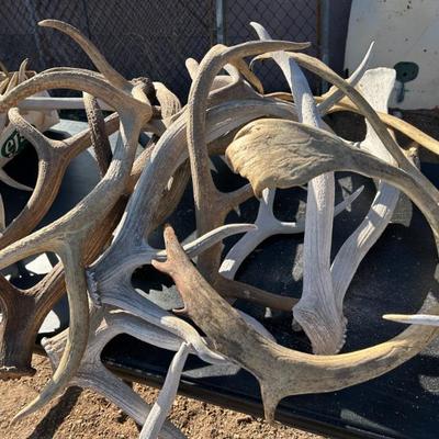 Sale Photo Thumbnail #285