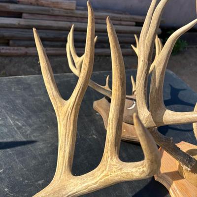 Sale Photo Thumbnail #281