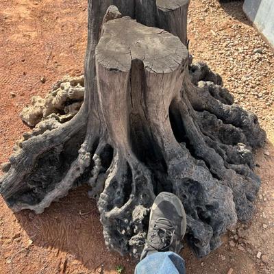 Sale Photo Thumbnail #1110