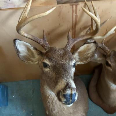 Sale Photo Thumbnail #397