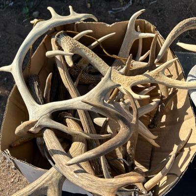 Sale Photo Thumbnail #288