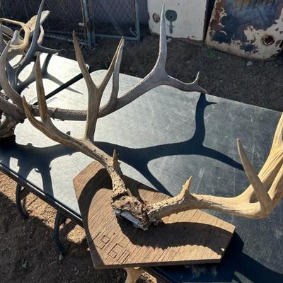 Sale Photo Thumbnail #280