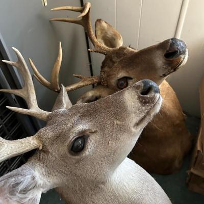 Sale Photo Thumbnail #395