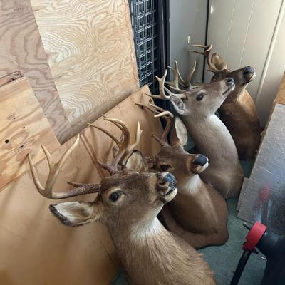 Sale Photo Thumbnail #393