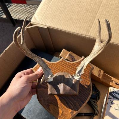 Sale Photo Thumbnail #599