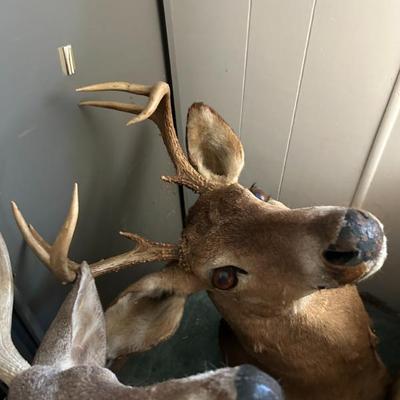 Sale Photo Thumbnail #396