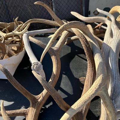 Sale Photo Thumbnail #287