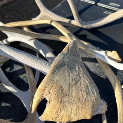 Sale Photo Thumbnail #290