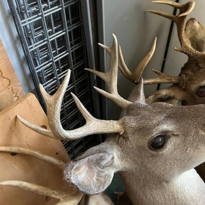 Sale Photo Thumbnail #394