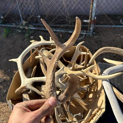 Sale Photo Thumbnail #289