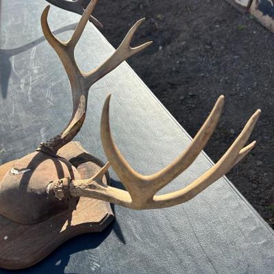 Sale Photo Thumbnail #279